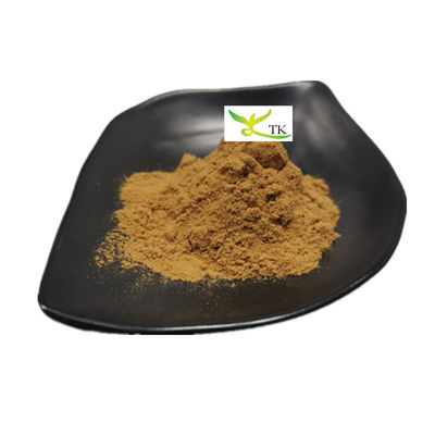 Wholesale Price Natural Lobelia Herb Extract Powder Lobelia Leaf Extract 10:1 Powder