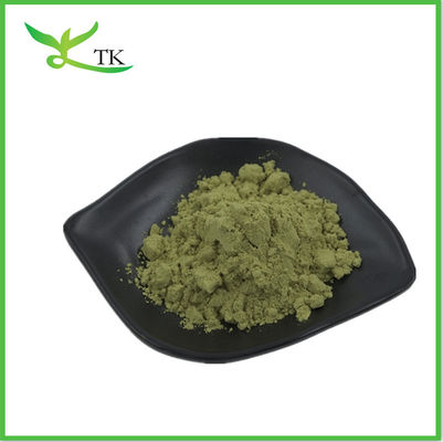 Best Price Carum Carvi Extract Powder Caraway Seed Extract Powder