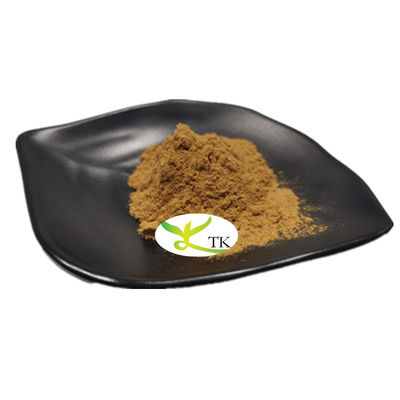 Natural Plant Extract Brown Seaweed Extract Kelp Fucoidan Extract Powder Price