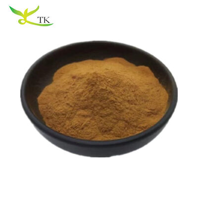 Natural Astragalus Root Extract Membranaceus Polysaccharide Extract Powder