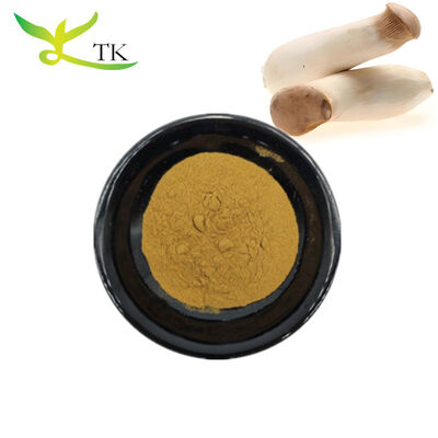Food Grade Natural King Oyster Mushroom Extract Powder Polysaccharide 10% 30%