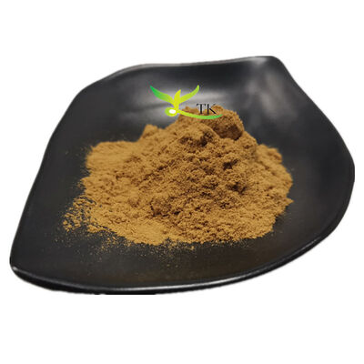 Wholesale Price Bulk Herbal Extract Natural Oak Bark Extract Powder 4:1 10:1