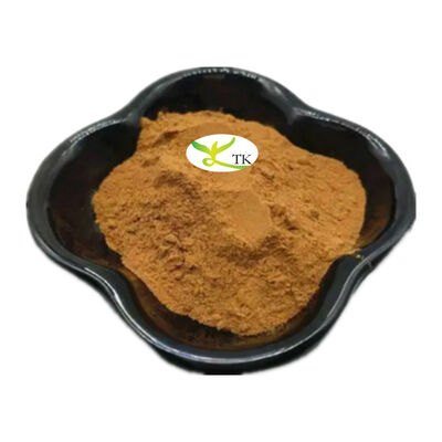 100% Natural Plant Extract Powder Clinacanthus Nutans Extract Powder 4:1 10:1
