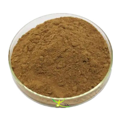 Natural Surfactant Camellia Sinensis Extract Tea Saponin Powder Widely Used