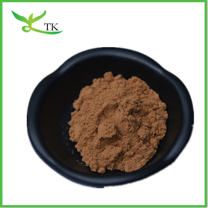 Areca Catechu Free Sample Areca Catechu Herbal Extract/Areca Catechu Extract