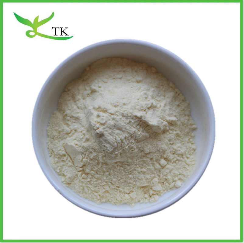 Pure Lemon Powder Lemon Juice Powder Spray Dried Lemon Powder For Food And Beverage