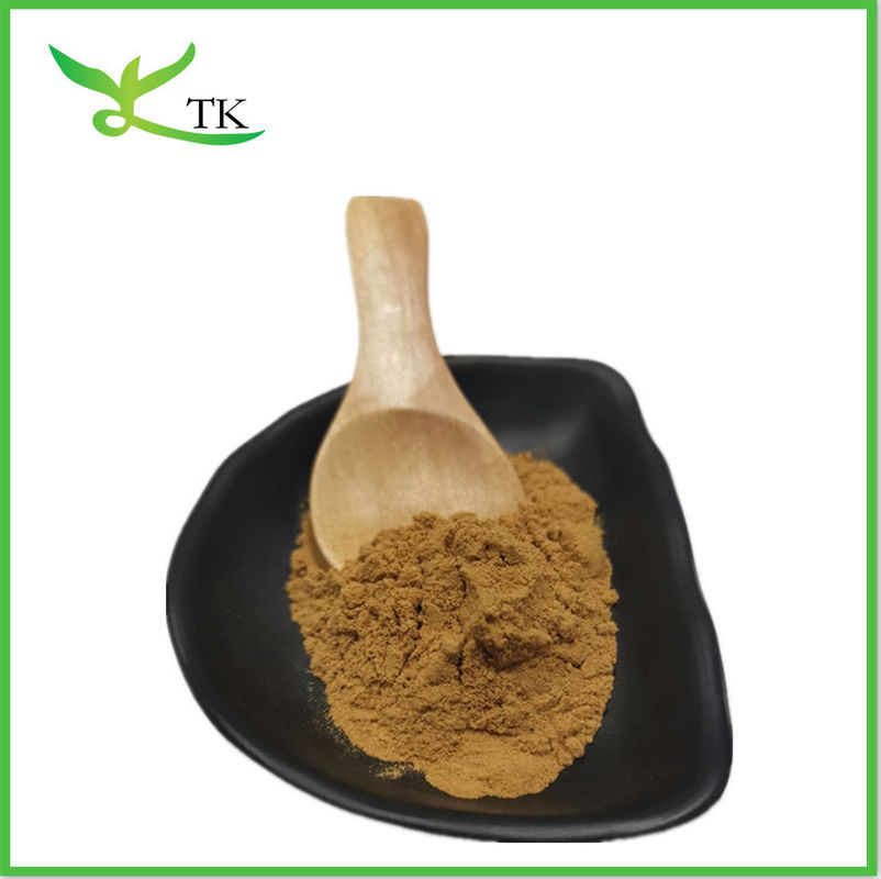 High Quality Supplier Natural Semen Ziziphi Spinosae Extract Jujube Seed Extract