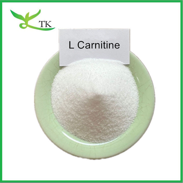 Food Grade Weight Loss Supplement L Carnitine Powder Raw Material  L Carnitine Base Powder