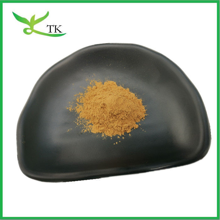Natural Poria Cocos Extract Polysaccharide 30% Poria Cocos Extract Powder Food Grade