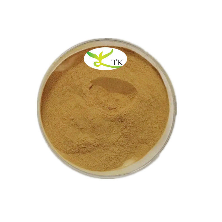 Natural Herbal Supplement 10:1 20:1 Dried Ginger Extract Powder