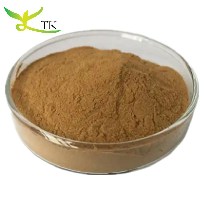 Natural Plant Extract 10:1 Spray Dried Selaginella Extract Selaginella Tamariscina Extract