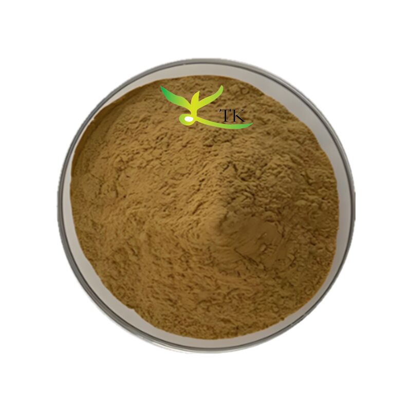 Pure Pant Extract Angelica Acutiloba Root Extract Powder Angelica Acutiloba Root Powder