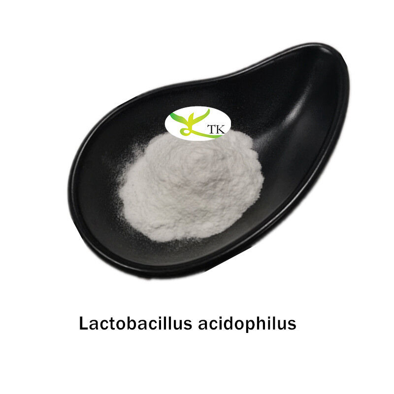 Best Price Probiotics Powder Lactobacillus Acidophilus Powder 10 Billion CFU/g
