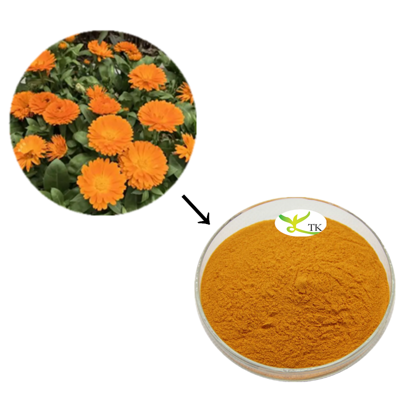 Wholesale Best Price Calendula Officinalis Flower Extract Calendula Officinalis Flower Powder