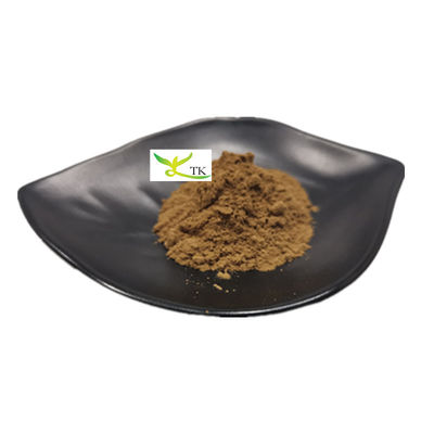 প্রাকৃতিক মাশরুম এক্সট্র্যাক্ট পলিসাকারাইড 20% চাগা মাশরুম এক্সট্র্যাক্ট পাউডার