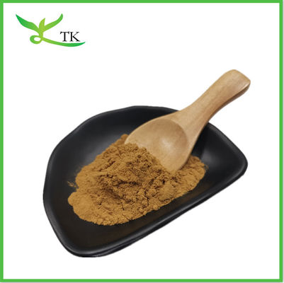 Cistanche Tubulosa Extract পাউডার 50% Echinacoside+10% Verbascoside