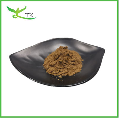 পরিপূরক Cistanche Tubulosa Extract Powder 50% Echinacoside+10% Verbascoside