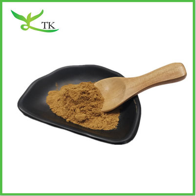 Cordyceps Sinensis 40% পলিসাকারাইড Cordycepic অ্যাসিড Cordyceps Sinensis এক্সট্র্যাক্ট