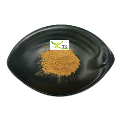 পাইকারি মূল্য প্রাকৃতিক Portulaca Oleracea Purslane Herbs Extract Powder Purslane Extract 10:1