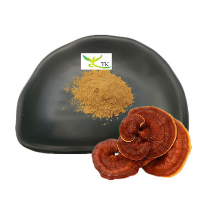 পাইকারি Ganoderma Lucidum Extract Reishi Mushroom Extract Powder Polysaccharides 30%