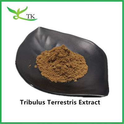 পাইকারি সেরা মূল্য 100% প্রাকৃতিক Tribulus Terrestris এক্সট্রাক্ট পাউডার Saponin 40%