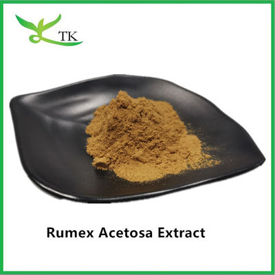 পাইকারি মূল্য 100% প্রাকৃতিক উদ্ভিদ নির্যাস Rumex Acetosa L. নির্যাস পাউডার