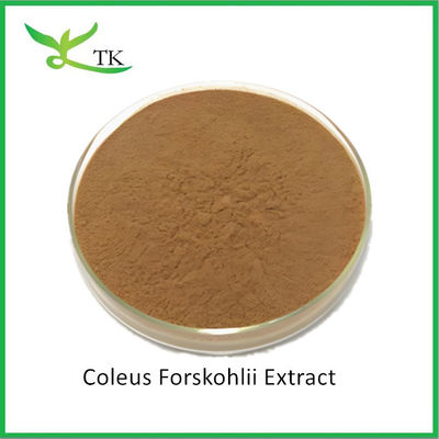 পাইকারি প্রাকৃতিক উদ্ভিদ এক্সট্র্যাক্ট Coleus Forskohlii এক্সট্র্যাক্ট পাউডার Forskolin মূল্য