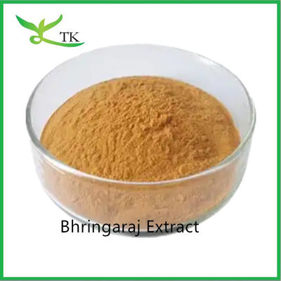 ১০০% প্রাকৃতিক চুলের যত্ন ব্রিংগরাজ পাতা এক্সট্র্যাক্ট ইক্লিপটা আলবা এক্সট্র্যাক্ট পাউডার চুলের রাজা