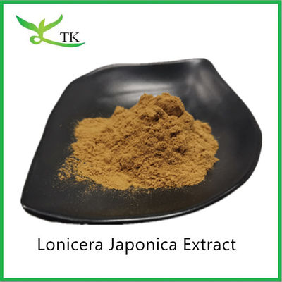 প্রাকৃতিক Lonicera Japonica এক্সট্র্যাক্ট পাউডার Lonicera japonica ফুল এক্সট্র্যাক্ট মূল্য