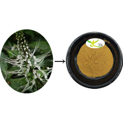 প্রাকৃতিক অর্থোসাইফোন অ্যারিস্টেটাস নির্যাস অর্থোসাইফোন পাতার নির্যাস পাউডার ক্যালকুলি পরিষ্কার করা