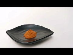 এক্সট্রাক্ট পাউডার