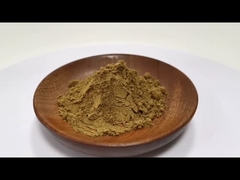 পাইকারি মূল্য 100% প্রাকৃতিক কপটিস চিনানসিস এক্সট্র্যাক্ট 10:1 20:1 স্টক আছে