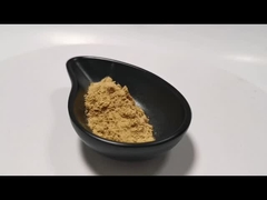 প্রাকৃতিক উদ্ভিদ নিষ্কাশন পাউডার মাশরুম নিষ্কাশন পাউডার