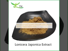 প্রাকৃতিক Lonicera Japonica এক্সট্র্যাক্ট পাউডার Lonicera japonica ফুল এক্সট্র্যাক্ট মূল্য