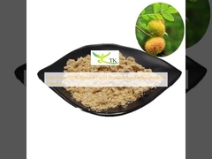 সেরা মূল্য 100% প্রাকৃতিক খাদ্য গ্রেড Rosa Roxburghii ফলের গুঁড়া