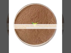 প্রাকৃতিক জিংকো বিলোবা এক্সট্র্যাক্ট পাতা এক্সট্র্যাক্ট জিংকো ফ্ল্যাভোনয়েড 24% ল্যাকটোন 6%