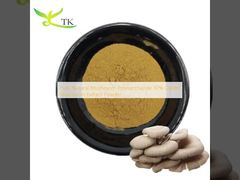 খাঁটি প্রাকৃতিক মাশরুম পলিসাকারাইড 30% ওস্টার মাশরুম এক্সট্রাক্ট পাউডার