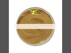 উচ্চ গুণমান সম্পন্ন প্রাকৃতিক উদ্ভিদ নির্যাস সাদা পার্সিমন নির্যাস পাউডার পার্সিমন ফল/পাতা নির্যাস