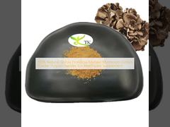 ১০০% প্রাকৃতিক গ্রিফোলা ফ্রন্ডোসা মাইটেকে মাশরুম এক্সট্রাক্ট পাউডার পলিস্যাকারাইড স্বাস্থ্যসেবা পরিপূরক জন্য