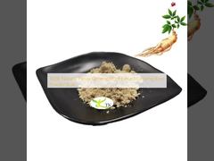 ১০০% প্রাকৃতিক প্যানাক্স জিনসেং মূলের নির্যাস জিনসেং মূলের গুঁড়ো বাল্ক