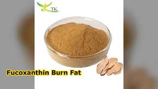 Fucoxanthin 60% ব্রাউন সিউইড এক্সট্র্যাক্ট পাউডার