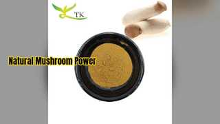 অয়েস্টার মাশরুমের নির্যাস রোগ প্রতিরোধ ক্ষমতা এবং মস্তিষ্কের শক্তি বাড়ায়